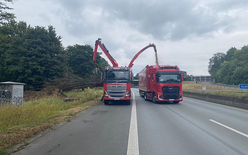 Hilden Hackgut und Transport bei der Arbeit